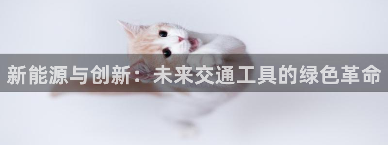 tp钱包支持trc20吗：新能源与创新：未来交通工具的绿色革命