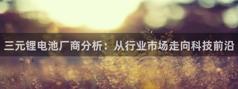 tp钱包可以直接买usdt吗：三元锂电池厂商分析：从行业市场走向科技前沿