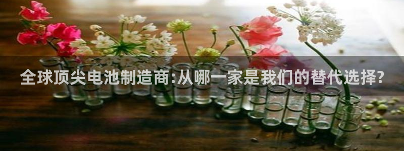 tp钱包最新版本下载v5.0：全球顶尖电池制造商:从哪一家是我们的替代选择?
