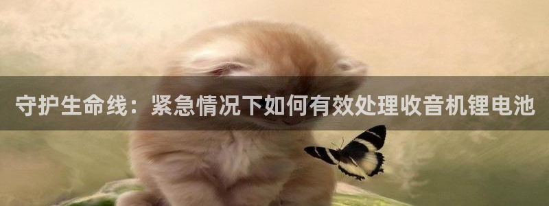 tp钱包跑路：守护生命线：紧急情况下如何有效处理收音机锂电池