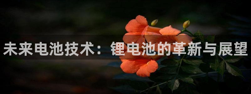 tp钱包好不好：未来电池技术：锂电池的革新与展望