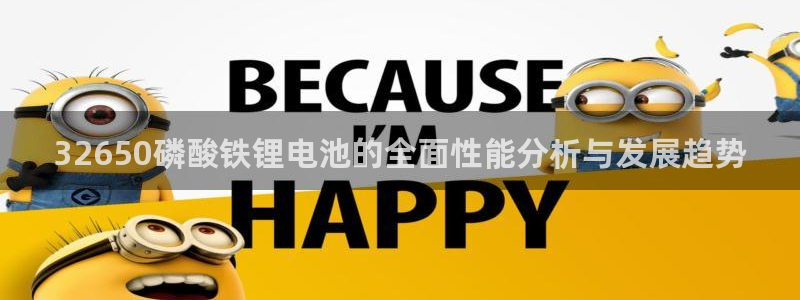 tp钱包怎么样安全吗可靠吗：32650磷酸铁锂电池的全面性能分析与发展趋势