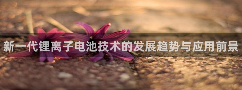 tp钱包一键迁移功能怎么用：新一代锂离子电池技术的发展趋势与应用前景