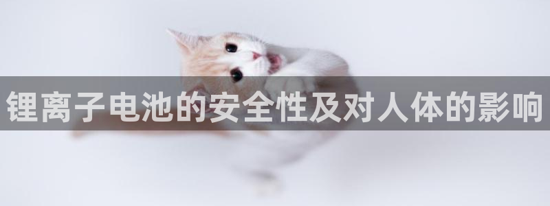 tp钱包不能提币