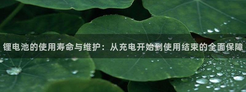 TP钱包app的最新版本更新内容
