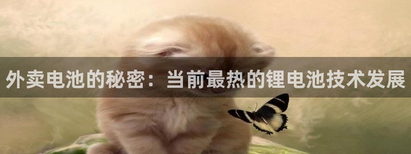tp钱包转账授权